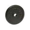 DISC GREUTATE 1,25 KG