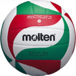 Minge volei Molten V5M2000