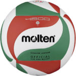 Minge volei Molten V5M4800